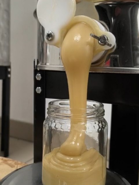 Vi presento il miele cremoso