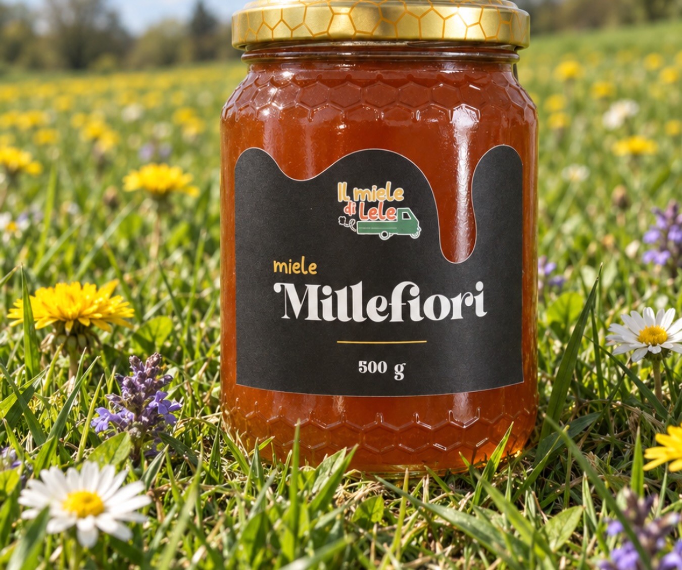 Vasetto di miele Millefiori in un prato fiorito